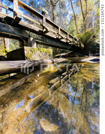 Wooden bridge 131184743