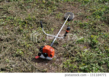 mowing image 131184771