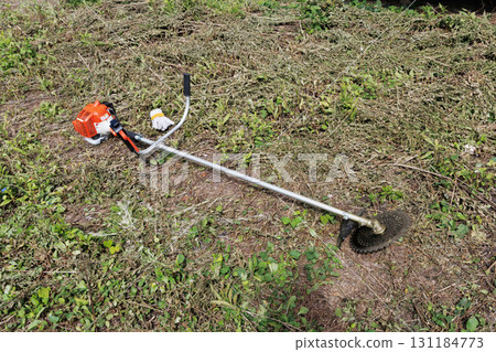 mowing image 131184773