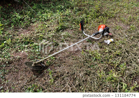 mowing image 131184774