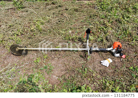 mowing image 131184775