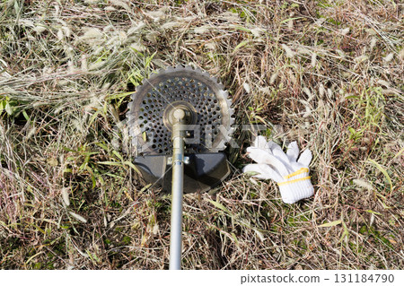 mowing image 131184790