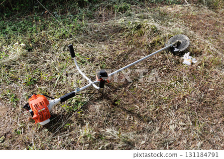 mowing image 131184791