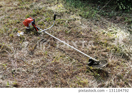 mowing image 131184792