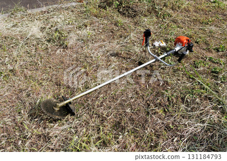 mowing image 131184793