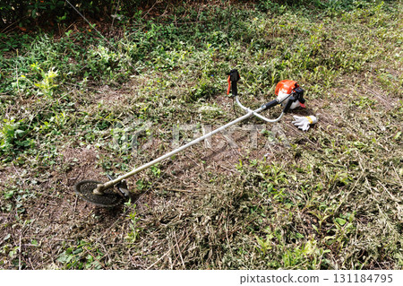mowing image 131184795