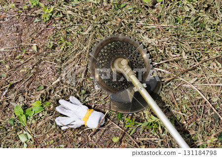 mowing image 131184798