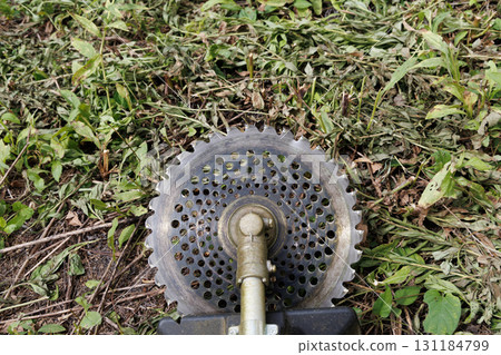 mowing image 131184799