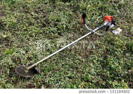 mowing image 131184802