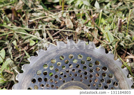 mowing image 131184803