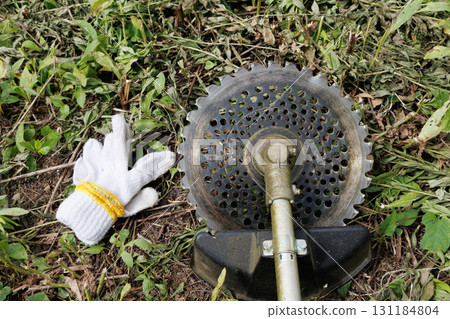 mowing image 131184804