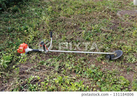 mowing image 131184806