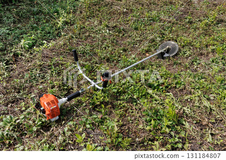 mowing image 131184807