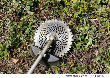 mowing image 131184808