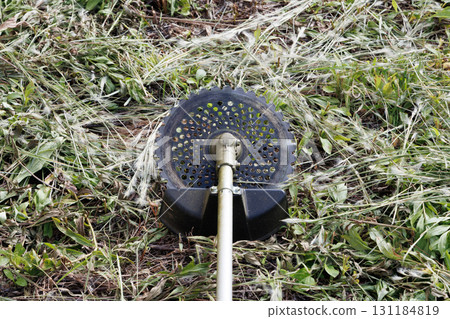 mowing image 131184819