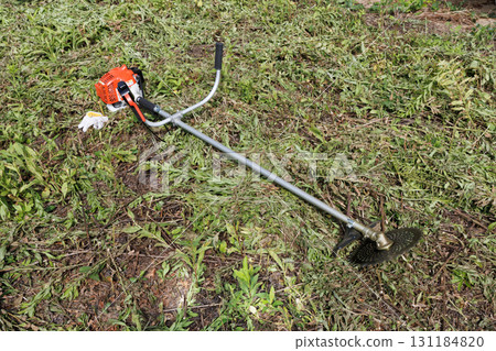 mowing image 131184820