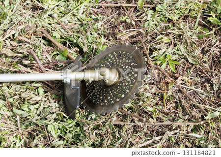 mowing image 131184821