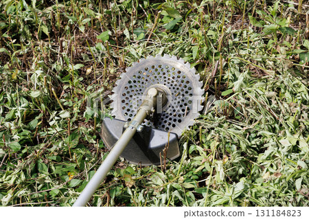 mowing image mowing image 131184823