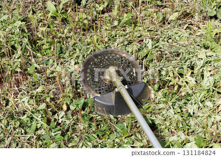 mowing image 131184824