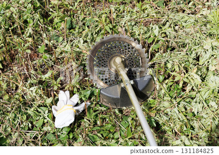 mowing image 131184825