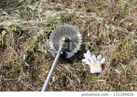 mowing image 131184826