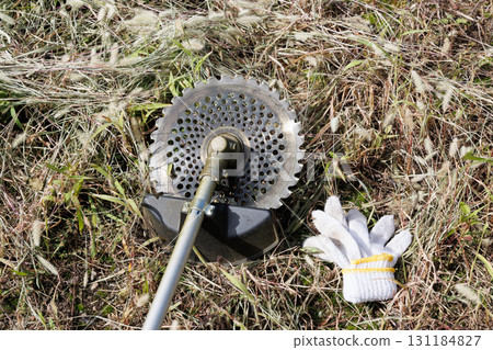 mowing image 131184827