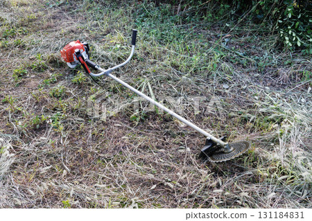 mowing image 131184831