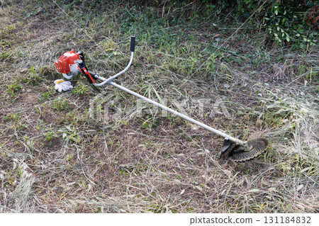 mowing image 131184832