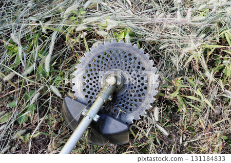 mowing image 131184833
