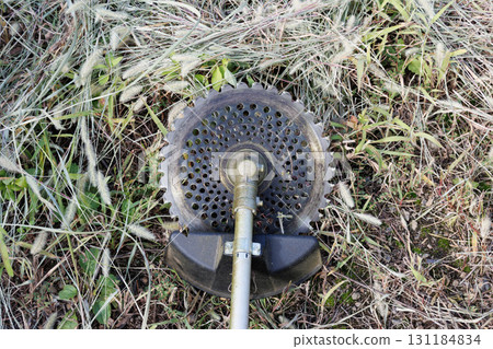 mowing image 131184834