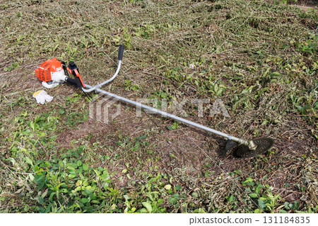 mowing image 131184835