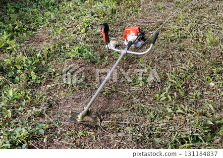 mowing image 131184837