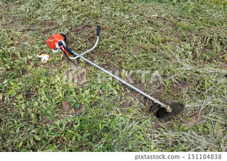 mowing image 131184838