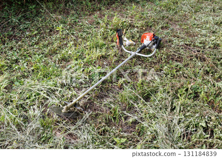 mowing image 131184839