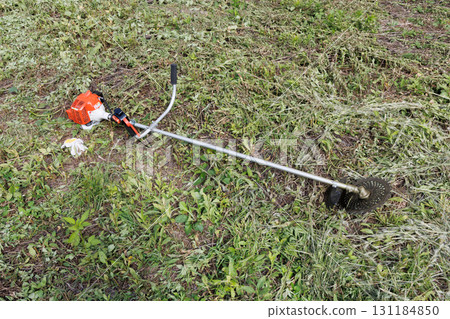 mowing image 131184850