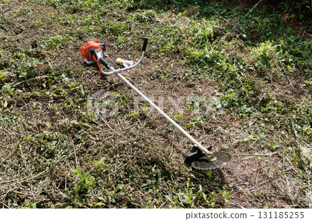 割草影像 131185255
