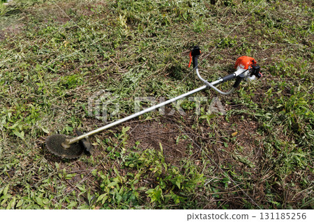 mowing image 131185256