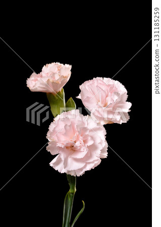 國家汽車 131185259