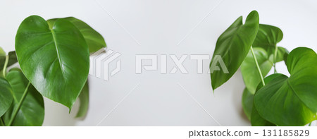 帶有綠色植物的標題背景_內部 131185829