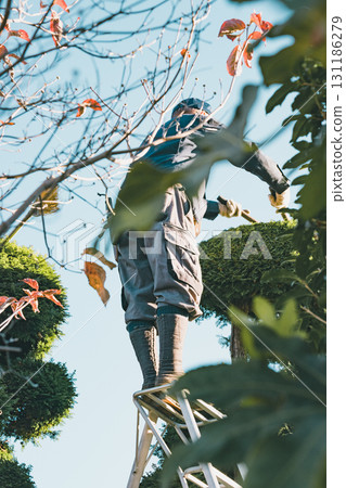 園丁 男人 男 131186279