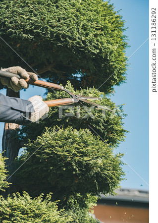 男人 男 男性 131186292