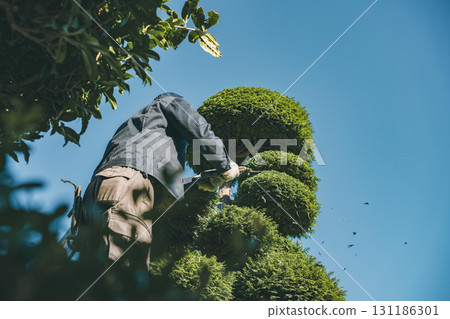 gardener, landscaper, gents 131186301