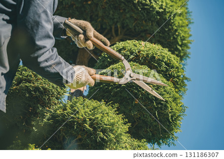 gardener, landscaper, gents 131186307