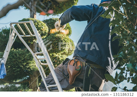 園丁 男人 男 131186312