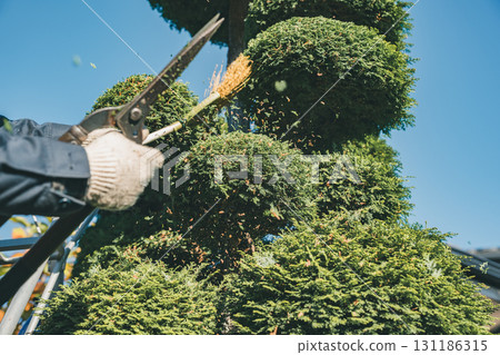 園丁 男人 男 131186315