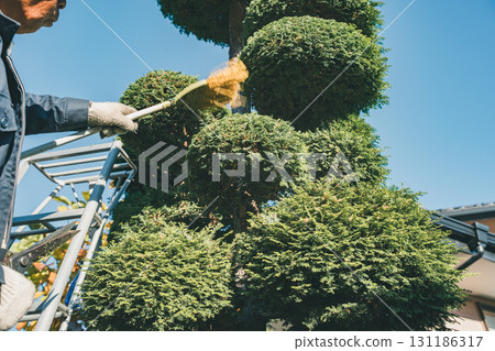 園丁 男人 男 131186317