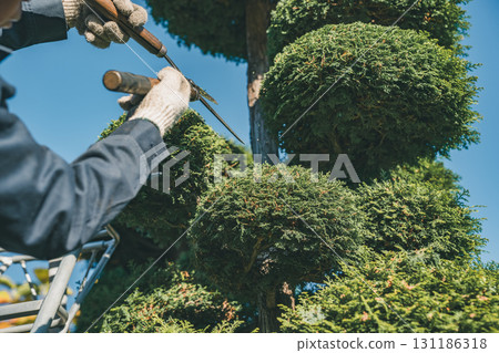 園丁 男人 男 131186318