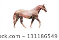 Stylized Geometric Representation of a Walking Horse in Minimalist Design Against a White Background 131186549