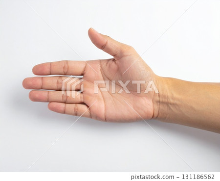 Open Human Hand Gesture Isolated on White Background Open Human Hand Gesture Isolated on White Background 131186562