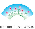 A fan design of cosmos swaying in the refreshing blue sky 131187530